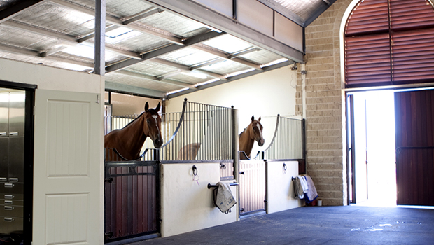 Horse Stable Design Acw Building Design